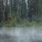 Check Out My YouTubes Check Out My YouTubes