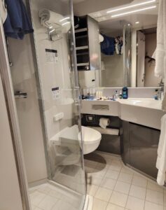 Tiny Toilet Quarters